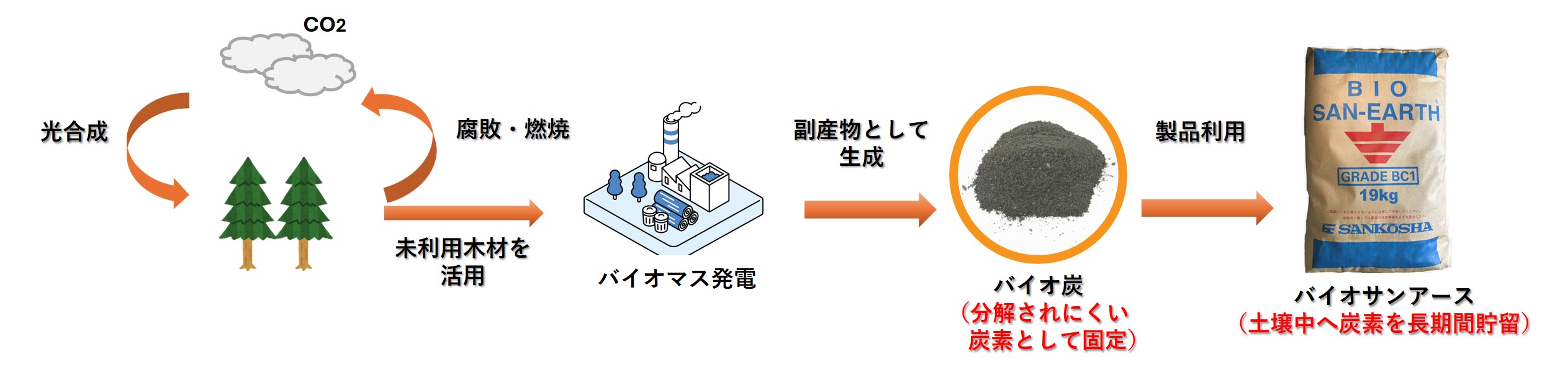 カーボンサイクル図